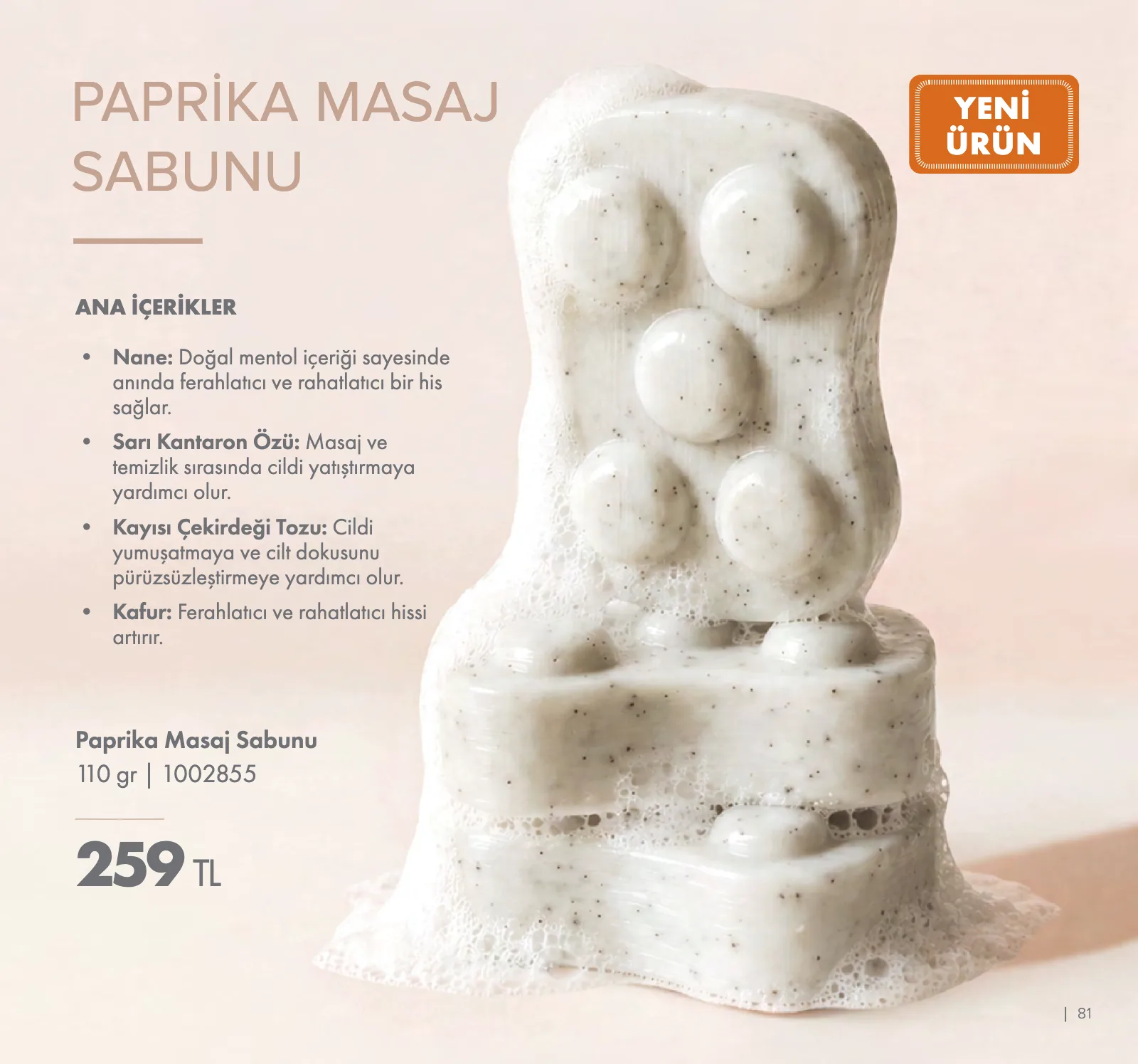Farmasi Golden Trip 2026 / Kapadokya 1–31 Ekim kataloğu, sayfa 81